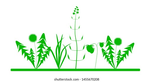 Flat vector illustration. Different plants