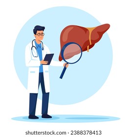 Flat vector illustration. A doctor Hepatologist, gastroenterologist holding a large magnifying glass and studying the health of the liver