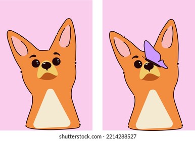 Flat vector illustration of a dog. Cute corgi with a butterfly on its nose. Home pet. Image of a cute dog for print.