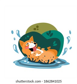 Flat vector illustration. Dog at walk. Funny doodle. Cute happy friendly puppy. Cartoon style. Colored hand drawn. Dog breed. Corgi. Water splash. Having fun. Character. Pet activity doodle