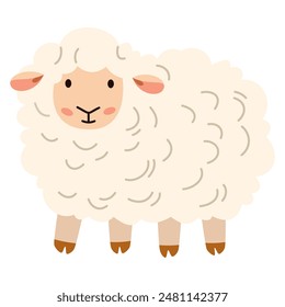 Flat vector illustration. Domestic animals from a farm. Cute sheep on white background 