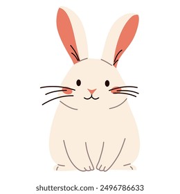 Flat vector illustration. Domestic animals from a farm. Cute rabbit on white background 