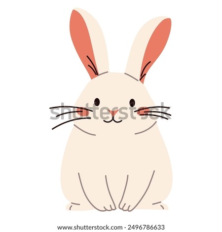 Flat vector illustration. Domestic animals from a farm. Cute rabbit on white background 