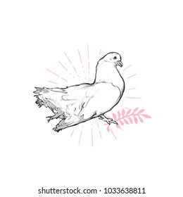 Flat vector illustration - Dove of Peace 