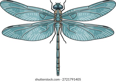 Ilustración vectorial plana de una libélula con alas de color turquesa y cuerpo detallado aislado sobre fondo blanco.