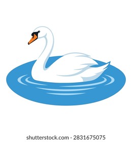 Flat vector illustration of an elegant white mute swan with orange beak gliding on blue water surface ripples isolated on white background.