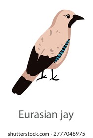 Flat vector illustration of a Eurasian jay in side view. Forest corvid bird isolated on a white background.