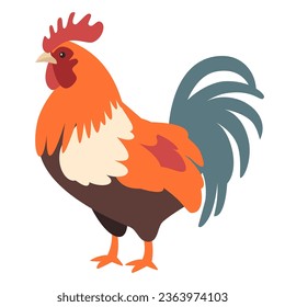 Flat vector illustration. Farm animals, cute rooster on white background 