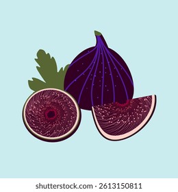 Flat vector illustration of fig fruit. Includes whole fig, halved fig, and a fig slice with a green leaf on light background. Great for food-related design, prints, or digital media.