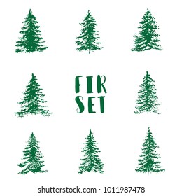 Flat Vector Illustration: Fir Set