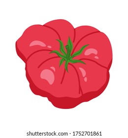 Flat vector illustration of fresh tomato. Red tomato isolated on white background.