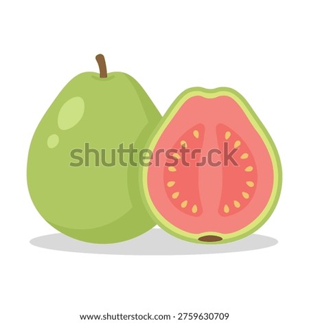 Flat vector illustration of fresh whole and pink sliced guava fruit. High quality graphic element for food, juice, and healthy lifestyle design. Isolated on white.