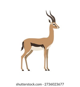 Flat vector illustration of a gazelle with slender body and curved horns, shown in elegant side view, isolated, clean shapes and natural colors ideal for wildlife, education, and design use