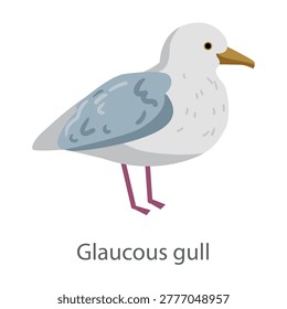 Flat vector illustration of a glaucous gull in side view. Seabird isolated on a white background.