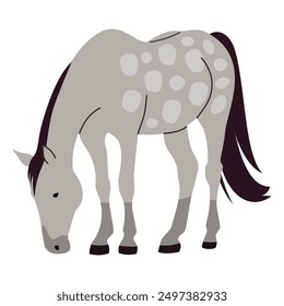 Flat vector illustration. Gray horse in apples eating grass