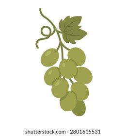 Flat vector illustration of green grape bunch with leaf, isolated on white background.