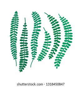 Flat vector illustration with green leaves. Jungle leaves. Tropic leaves. Flat illustration with jungle leaves