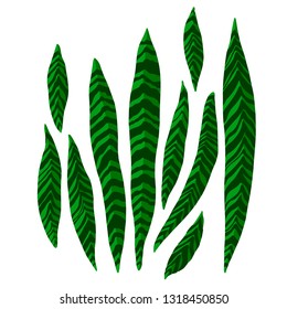Flat vector illustration with green leaves. Jungle leaves. Tropic leaves. Flat illustration with jungle leaves