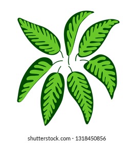 Flat vector illustration with green leaves. Jungle leaves. Tropic leaves. Flat illustration with jungle leaves