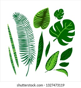 Flat vector illustration with green leaves. Jungle leaves. Tropic leaves. Flat illustration with jungle leaves