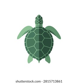 Flat Vector Illustration of a Green Sea Turtle Isolated on White Background Top View Concept