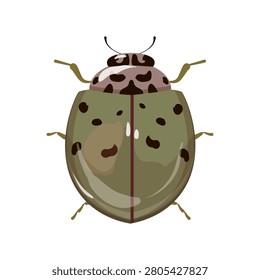 Flat vector illustration of a green spotted leaf beetle insect isolated on white background.