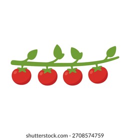 Ilustração vetorial plana de um ramo de vinha de tomate verde com tomates vermelhos.