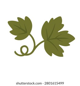 Flat vector illustration of green vine leaves with curly stem, isolated on white background.