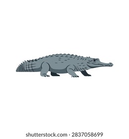 Flat vector illustration of a grey crocodile or gharial predator isolated on white background