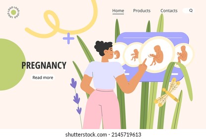 Flat vector illustration with happy female character planning a pregnancy or looking at the development of a baby fetus in the womb. Concept of pregnancy.