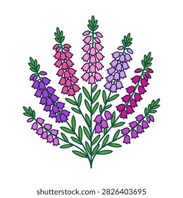 A flat vector illustration of a heather flower branch.