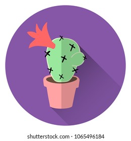 flat vector illustration of home blossom green cactus in brown clay pot with long transparent shadow on violet background