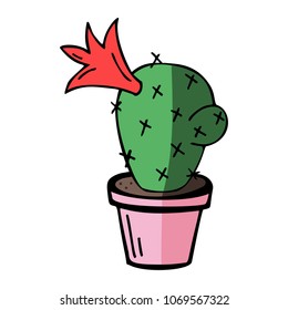 flat vector illustration of home blossom green cactus in pink pot with shadow