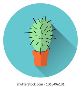 flat vector illustration of home green cactus in orange clay pot with long transparent shadow on azure background