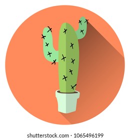 flat vector illustration of home green cactus in white clay pot with long transparent shadow on orange color background