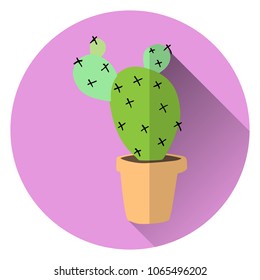 flat vector illustration of home green cactus in brown  clay pot with long transparent shadow on lilac color  background