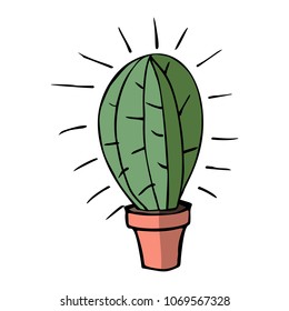 flat vector illustration of home green cactus in brown plastic pot with shadow