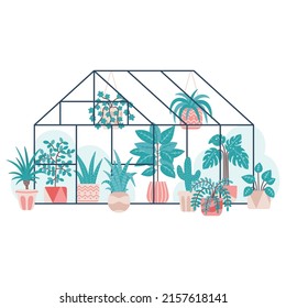 Flat vector illustration with home tropical plants greenhouse isolated on white background. Growing and caring for plants.