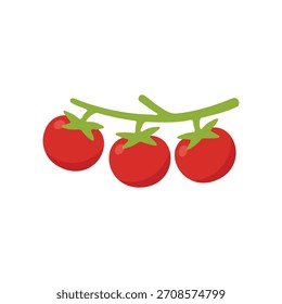 Flat vector illustration of a horizontal tomato branch with leaves and fruits.