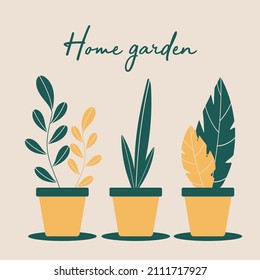flat vector illustration with house plants in pots home garden postcard