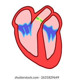 Flat vector illustration of the human heart. Ideal for medical education, health-related content, anatomy infographics, or healthcare presentations.