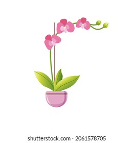 Flat vector illustration of indoor plant flowering pink orchid with buds in a flowerpot on white background. Idea for a poster, sticker, book, web design and so on.