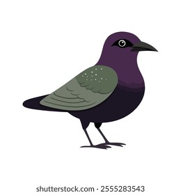 Flat Vector Illustration of Iridescent Starling with Purple and Green Feathers