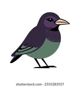 Flat Vector Illustration of Iridescent Starling with Purple and Green Feathers