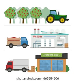 Flat vector illustration juice production processing. Stages of production and processing of juice from a orchard to table. Concept of production process isolated on white background