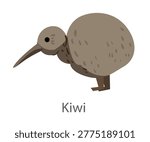 Flat vector illustration of a kiwi bird in side view. Flightless bird from New Zealand isolated on a white background.