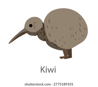 Flat vector illustration of a kiwi bird in side view. Flightless bird from New Zealand isolated on a white background.