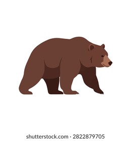 Flat Vector Illustration of a Large Brown Grizzly Bear Walking Isolated on White Background