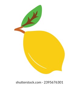 flat vector illustration lemon made by handraw