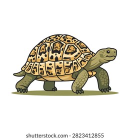 Flat vector illustration of a leopard tortoise.